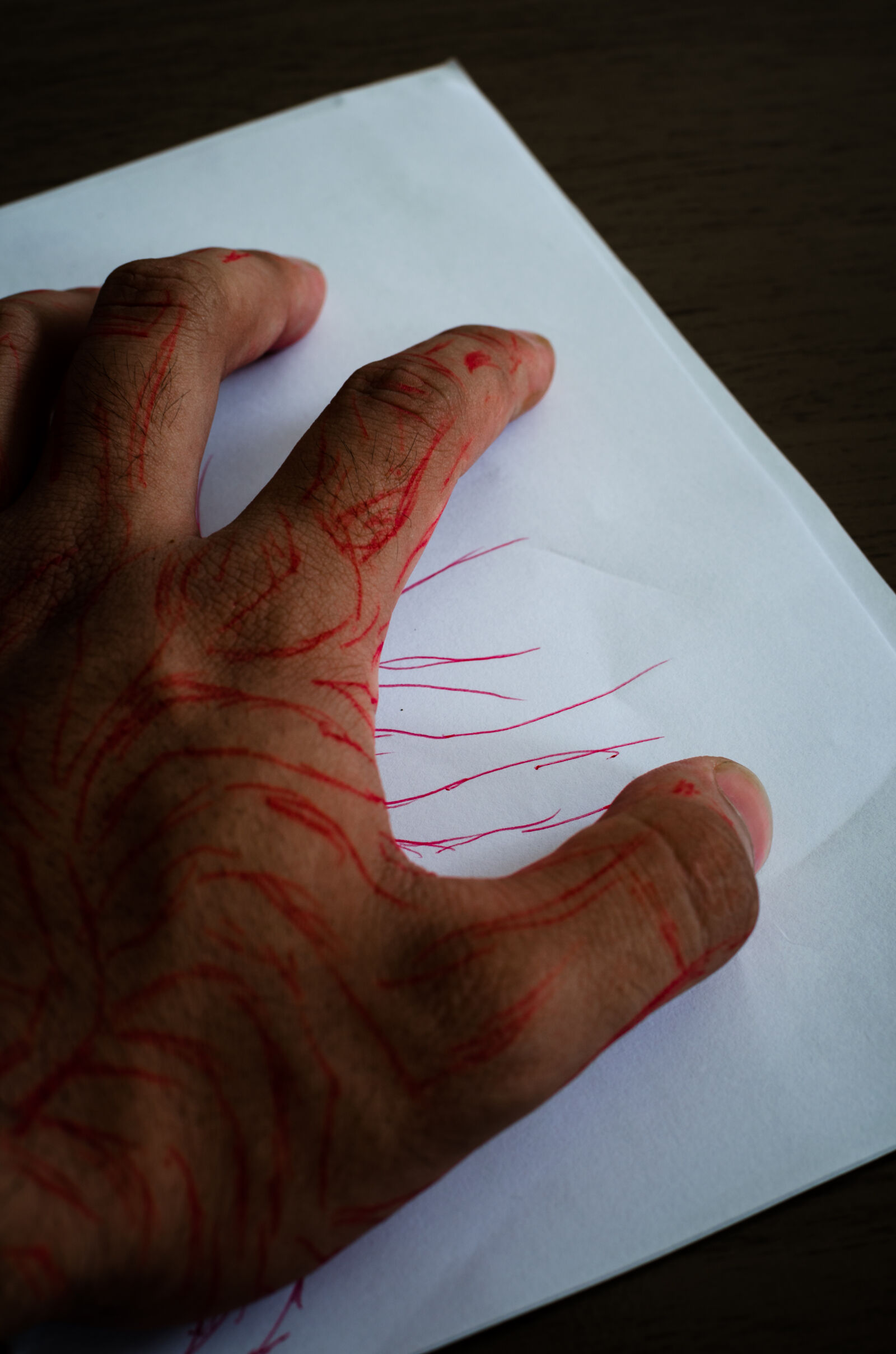 Nikon D5100 + Nikon AF-S DX Nikkor 35mm F1.8G sample photo. Drawing, hand, ink, red photography