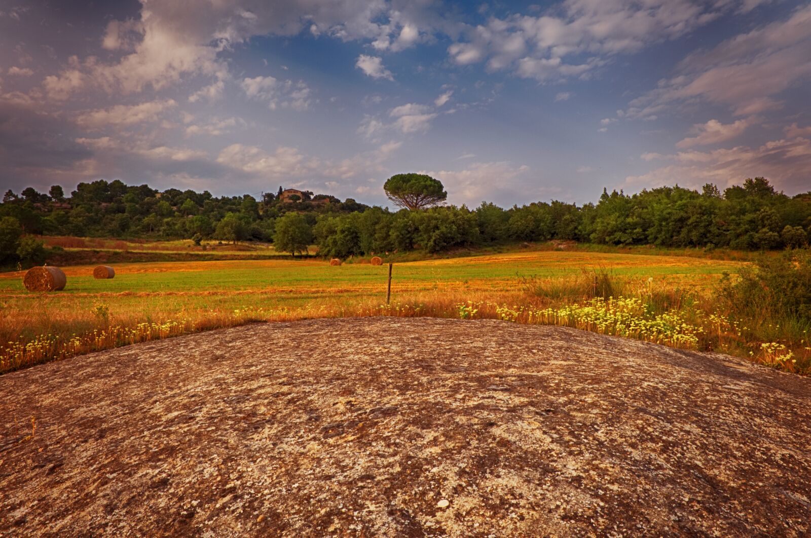 Fujifilm X-A2 sample photo. Field, round, stone photography