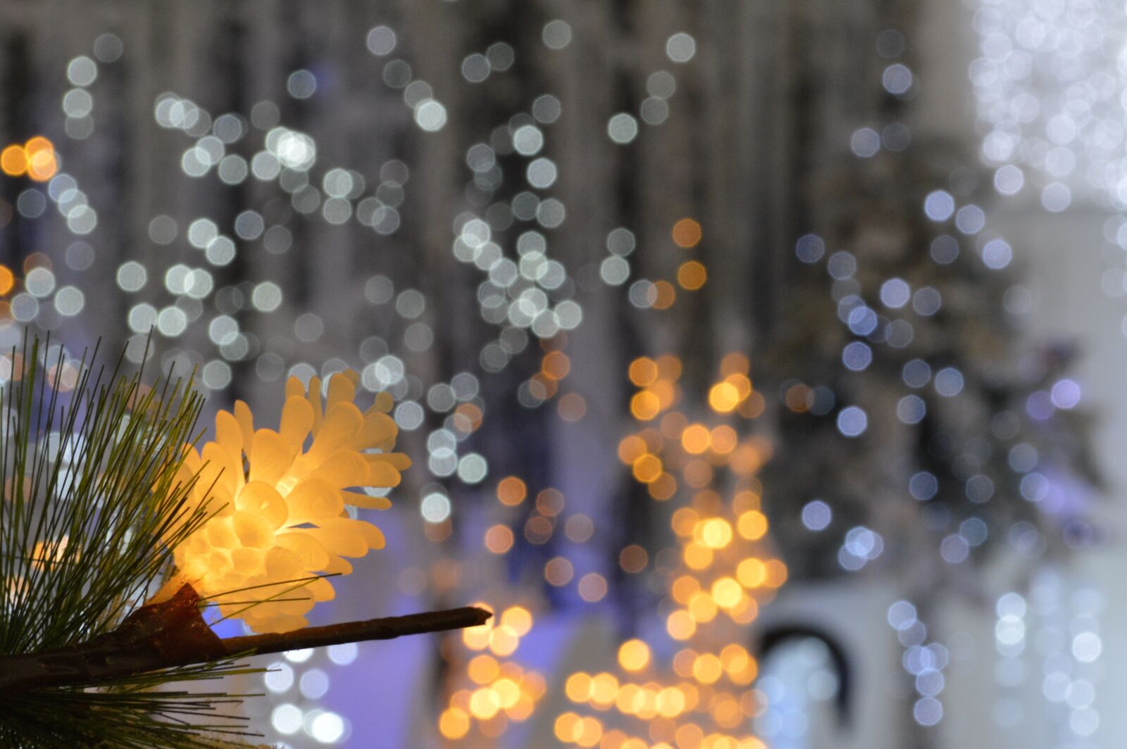 Nikon D3200 sample photo. Christmas lights, bokeh, led photography