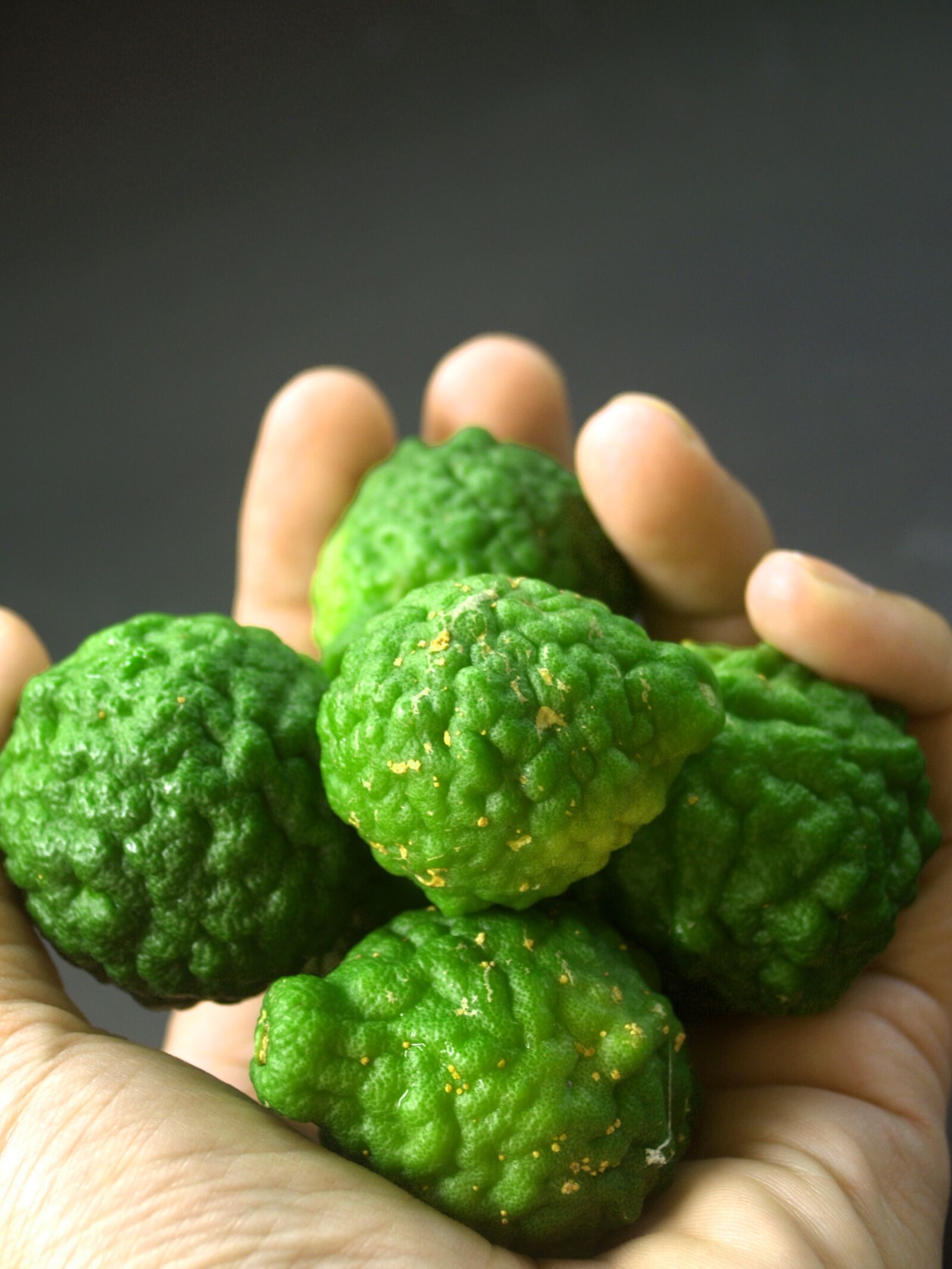 Olympus E-300 (EVOLT E-300) sample photo. Bergamot, fruit, leaf photography