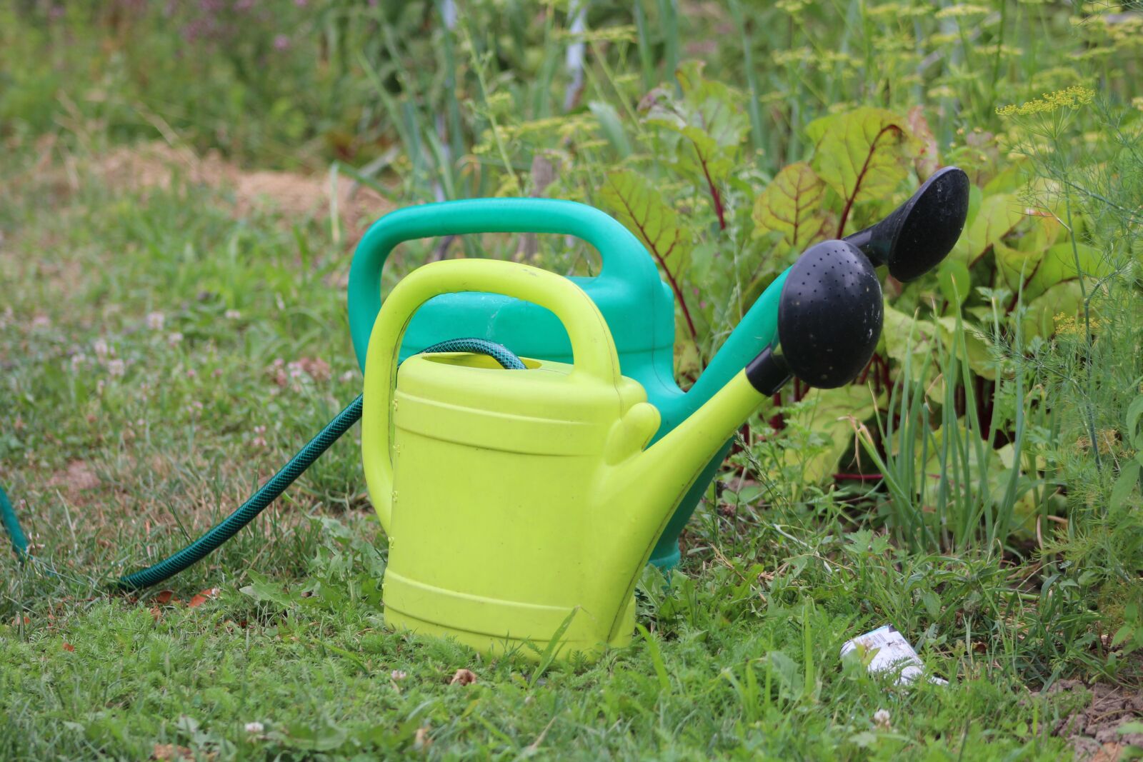 Canon EF75-300mm f/4-5.6 sample photo. Watering can, garden, summer photography