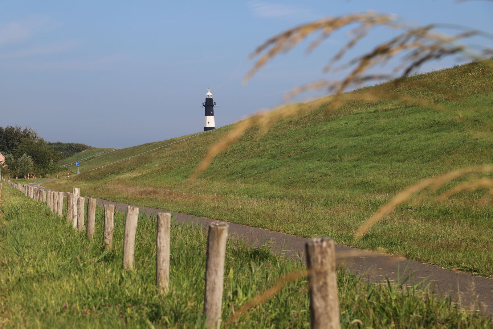 Canon EOS 6D Mark II + Canon EF 24-105mm F3.5-5.6 IS STM sample photo. Lighthouse, post, nature photography