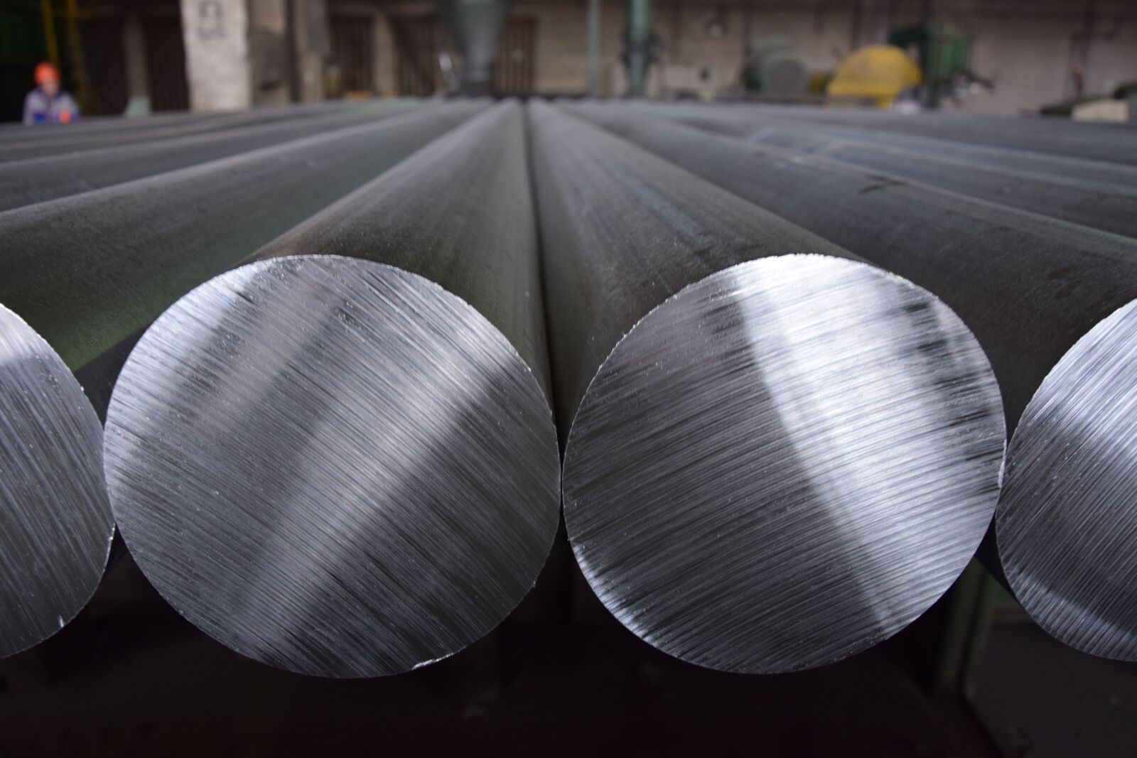 Nikon D5300 sample photo. Plant, aluminium, production photography