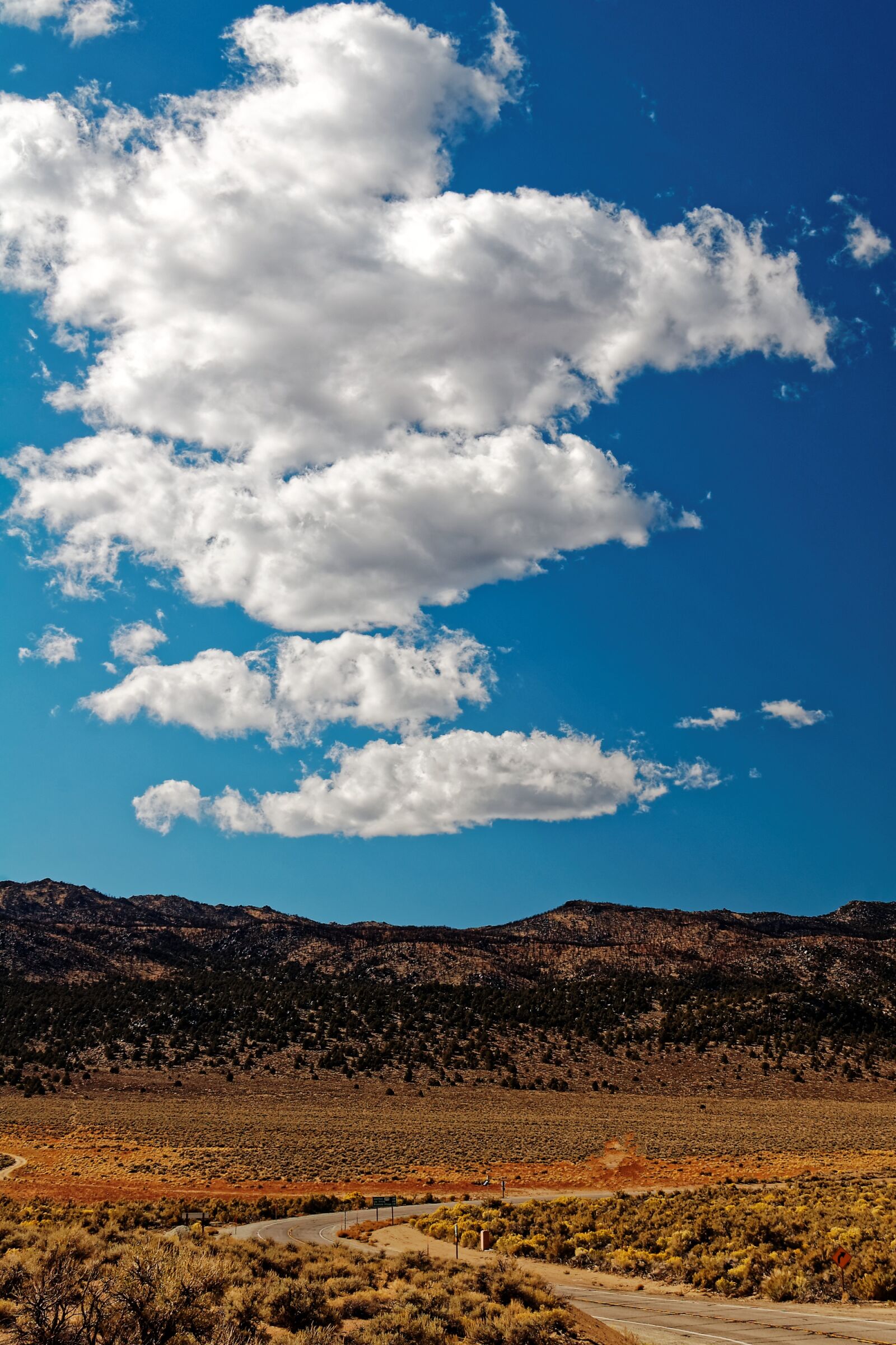 Nikon D50 sample photo. Road, desert, landscape photography