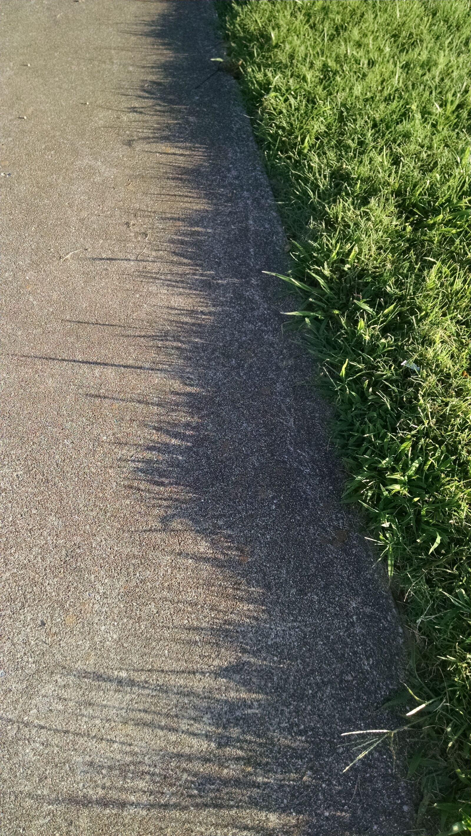 Motorola Droid Mini sample photo. Grass, shadow, sidewalk photography