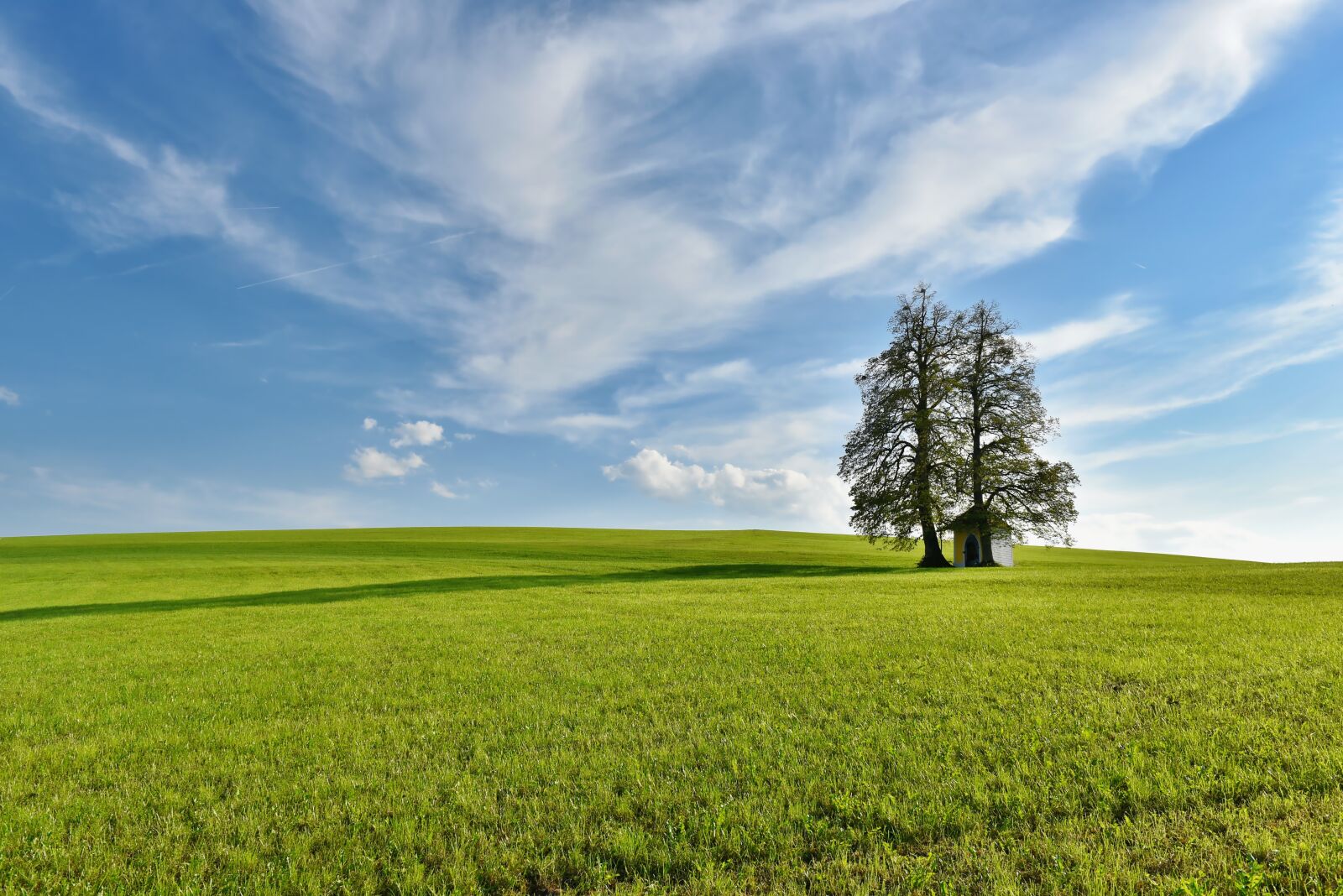 Nikon D750 sample photo. Nature, landscape, meadow photography
