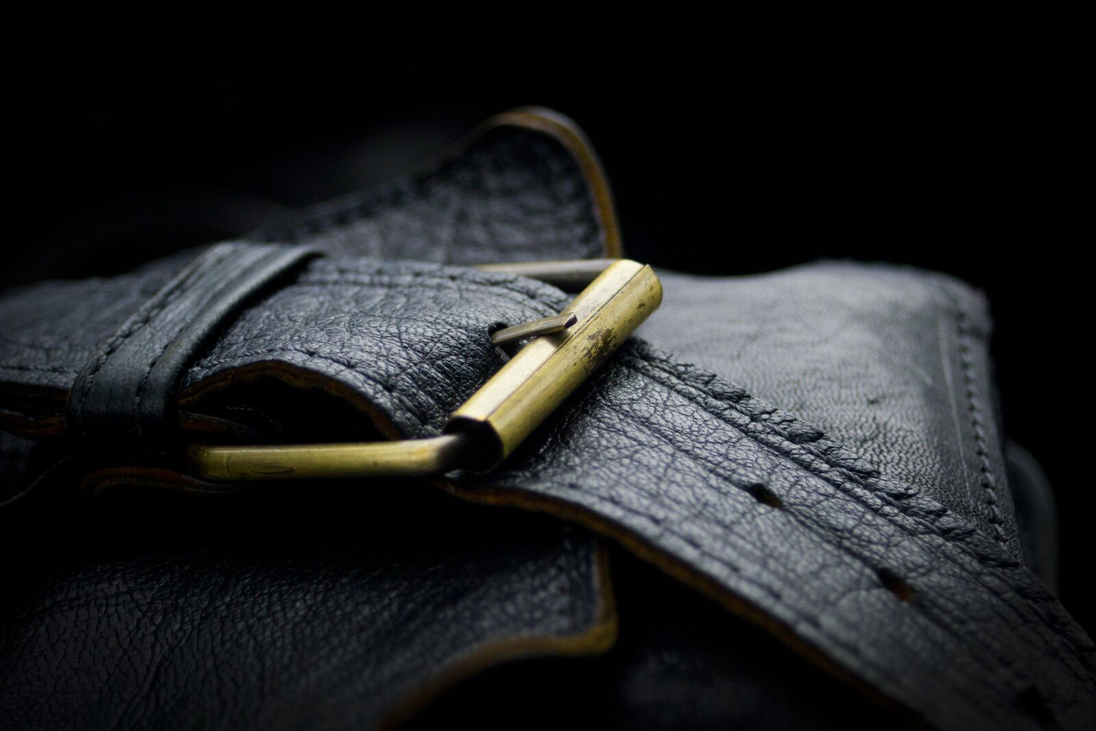 Nikon D3100 sample photo. Belt, clothing, cincher photography