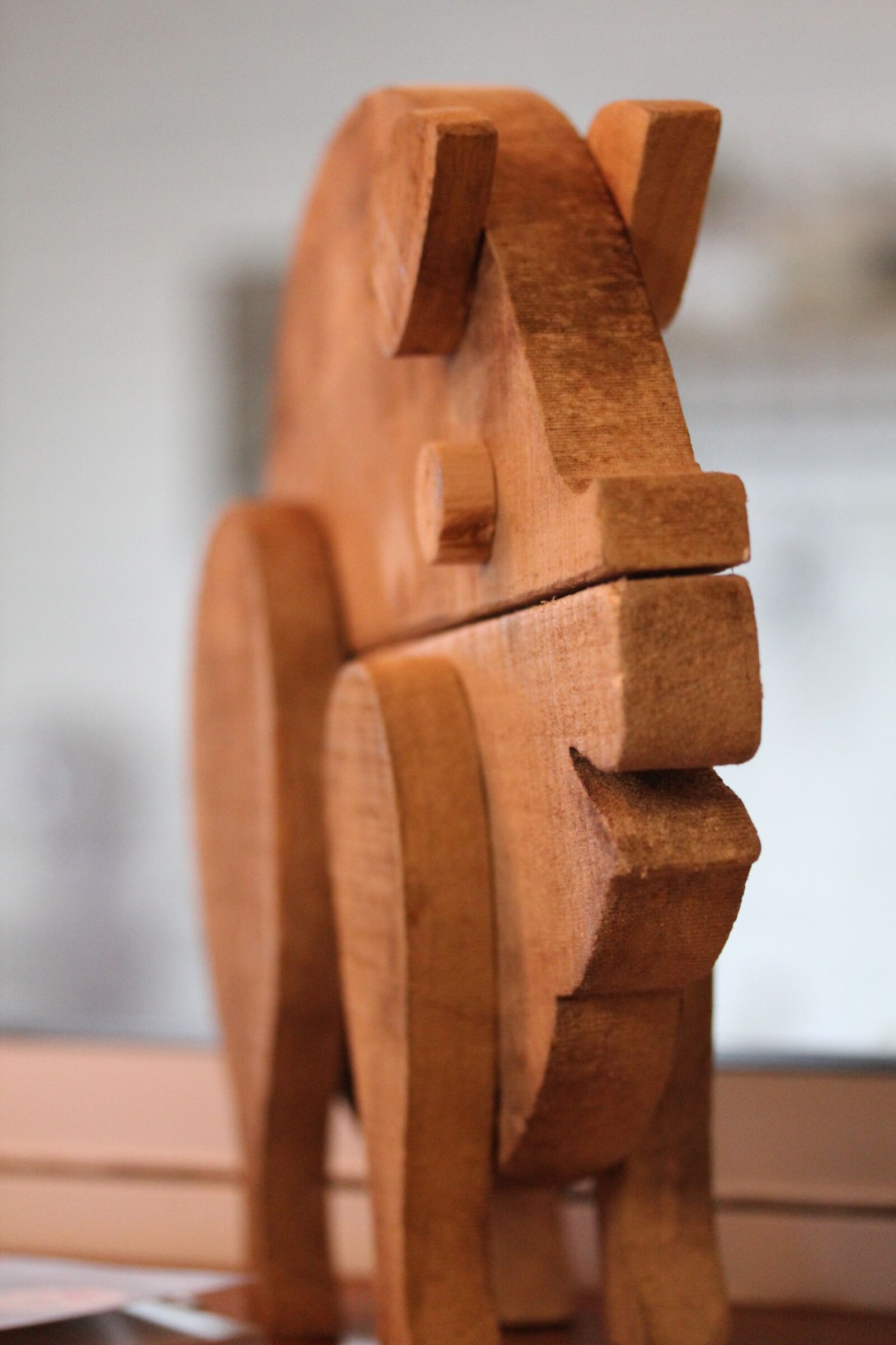 Canon EOS 550D (EOS Rebel T2i / EOS Kiss X4) sample photo. Pig, wood, art photography