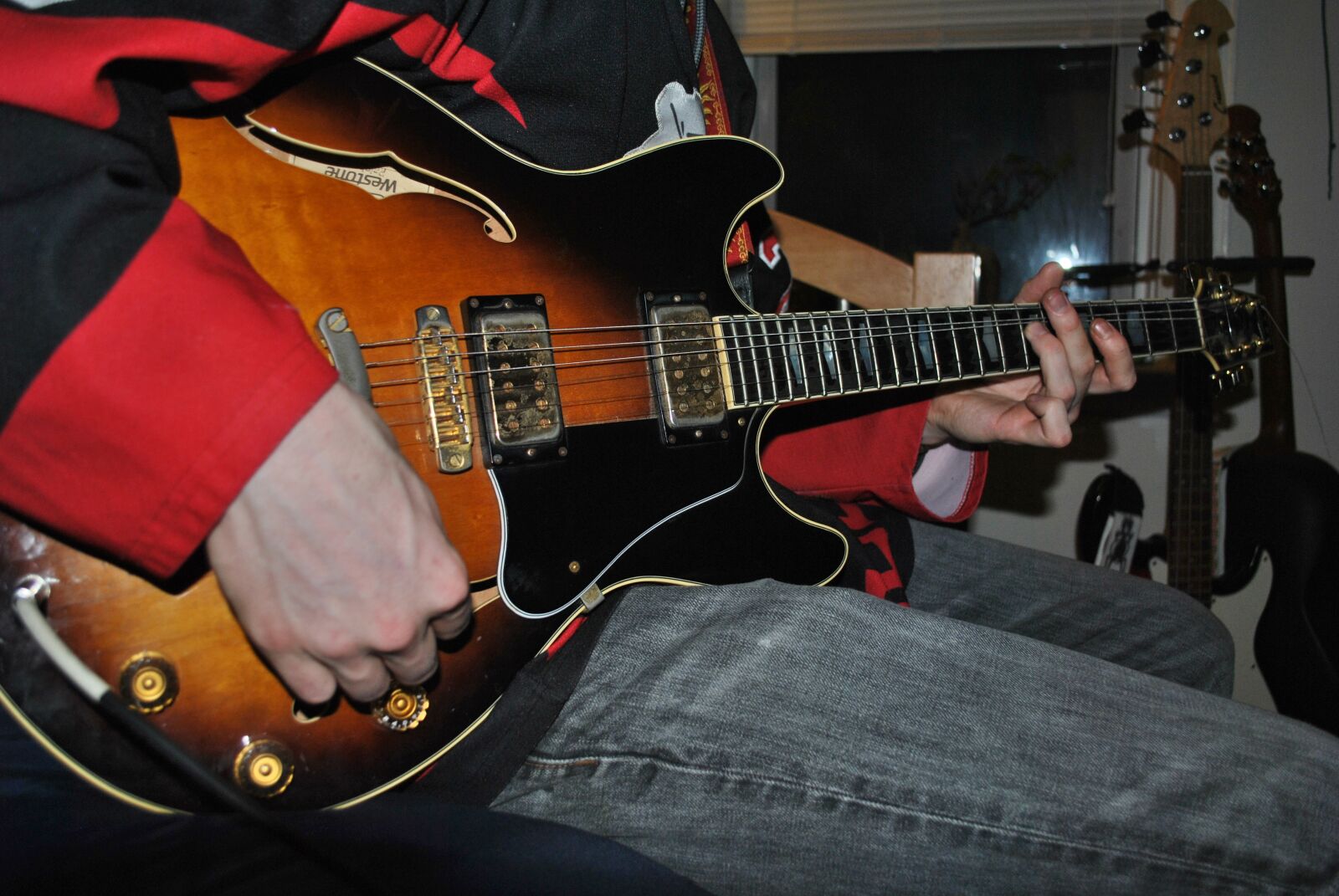 Nikon D3000 sample photo