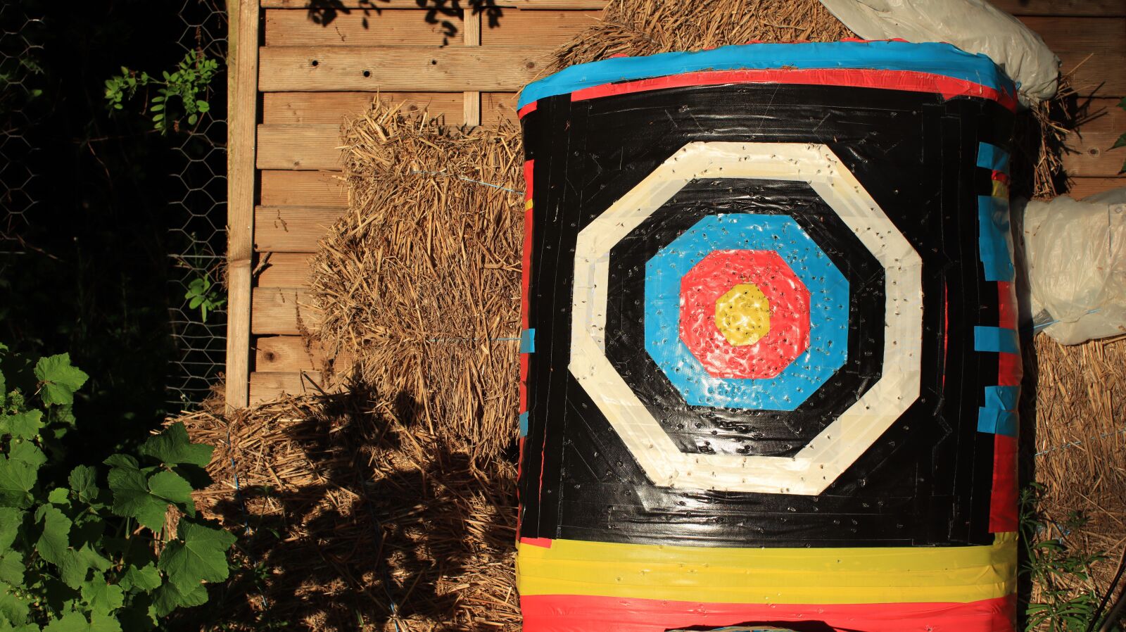 Canon EOS M50 (EOS Kiss M) sample photo. Target, middle, archery photography