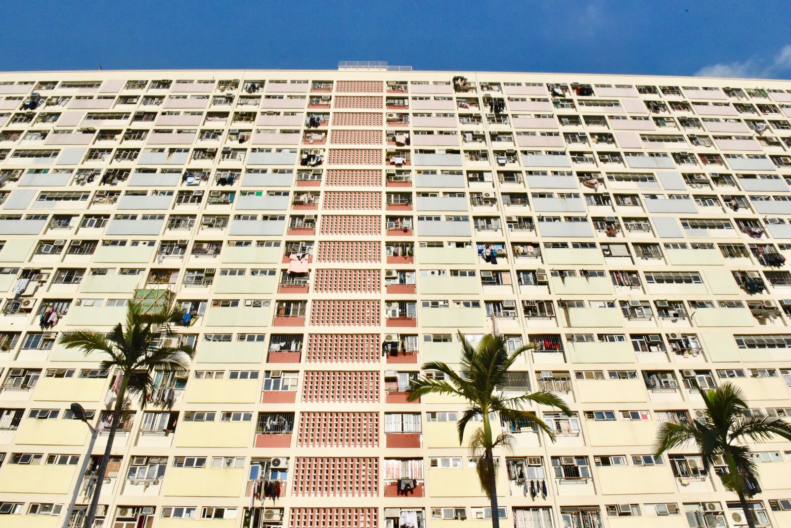 Nikon D750 sample photo. Hk, choi hung estate photography