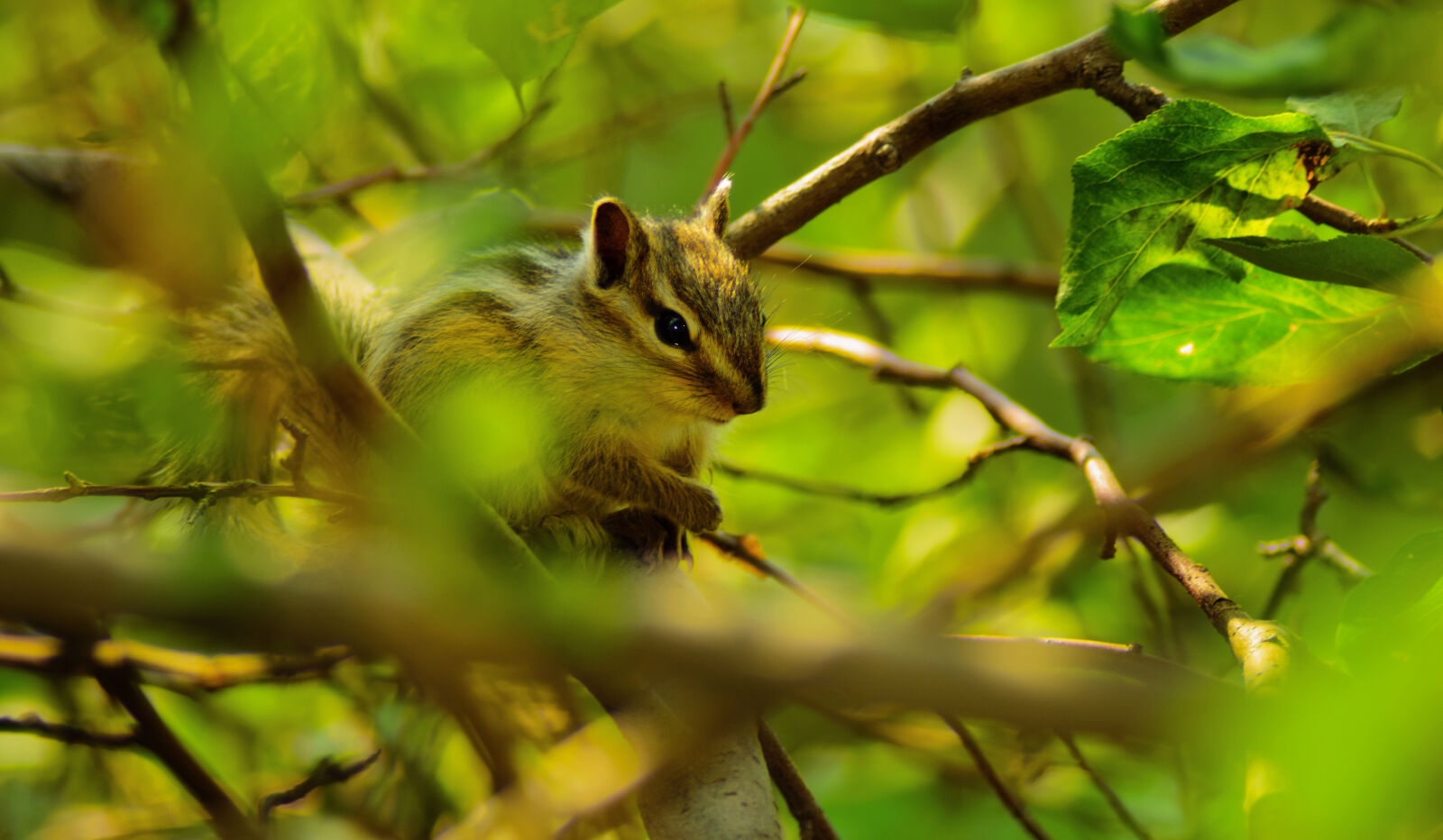 Nikon D5300 + AF Zoom-Nikkor 24-50mm f/3.3-4.5 sample photo