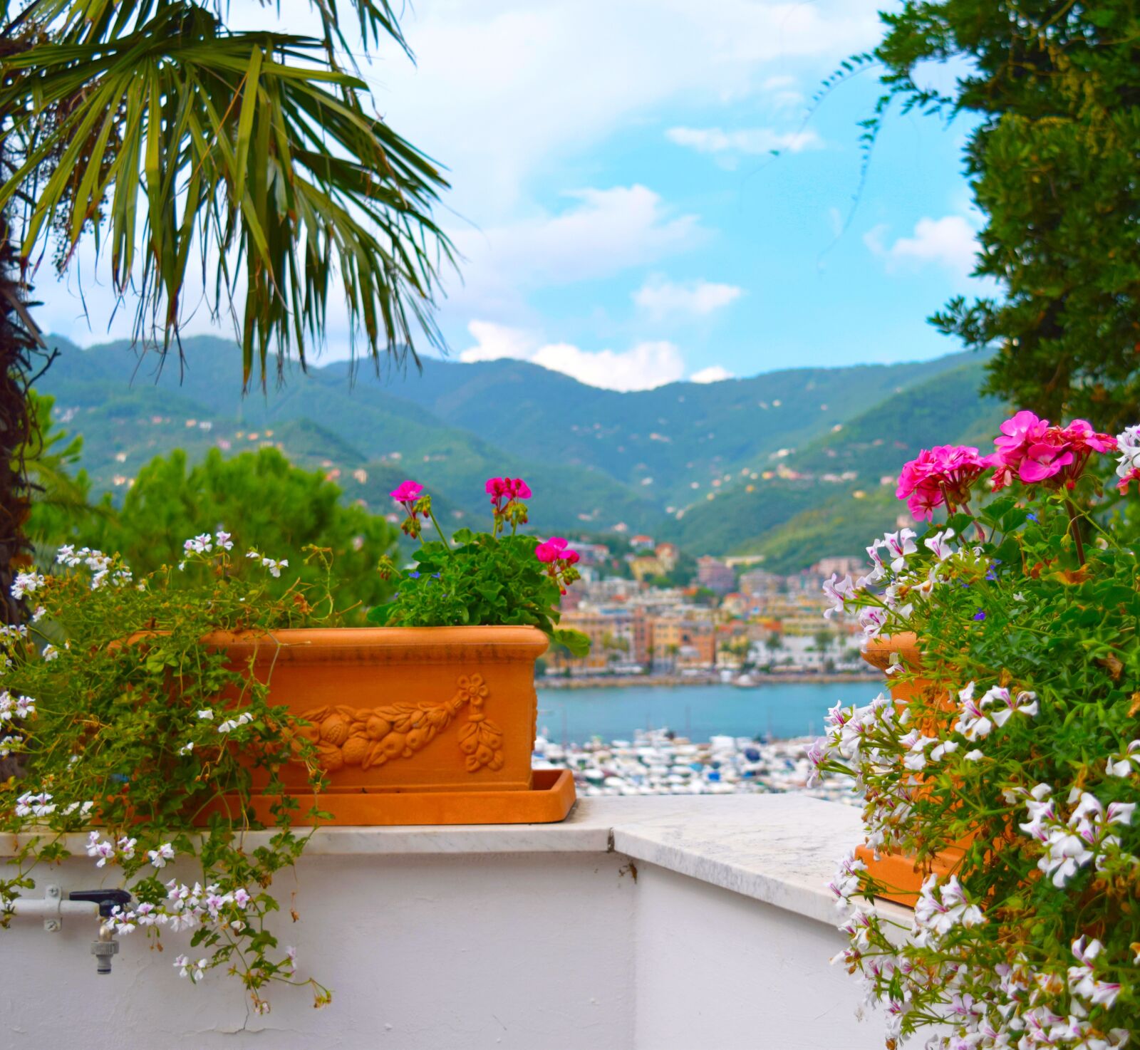 Nikon D3300 sample photo. Beautiful, view, bay photography