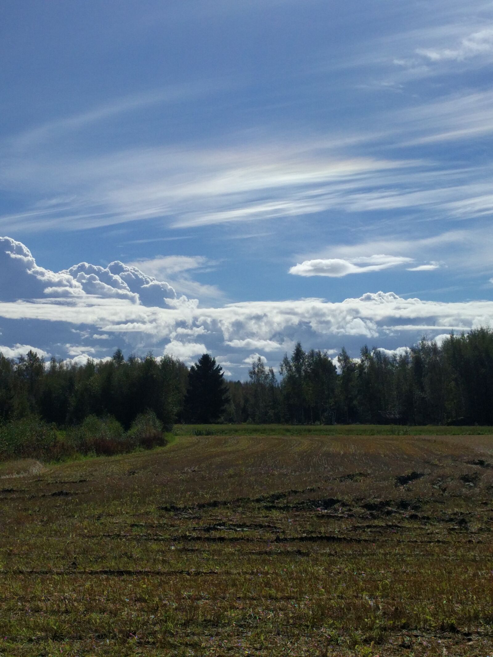 LG Nexus 5X sample photo. Cloud, himmel, blue sky photography