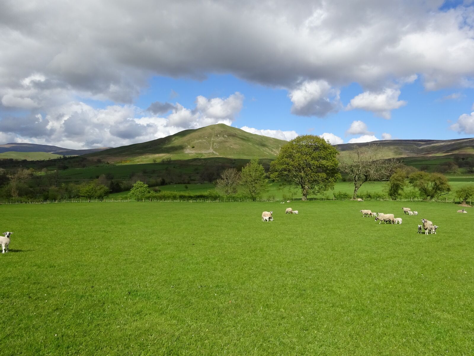 Sony Cyber-shot DSC-WX350 sample photo. Dufton, pyke, cumbria photography