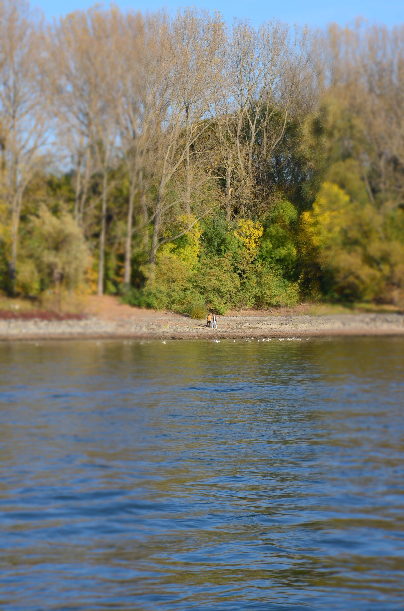Nikon D5100 sample photo. Rhein, wasser, wandern photography