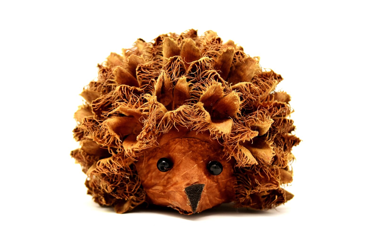 Nikon D7200 sample photo. Hedgehog, nature, animal photography