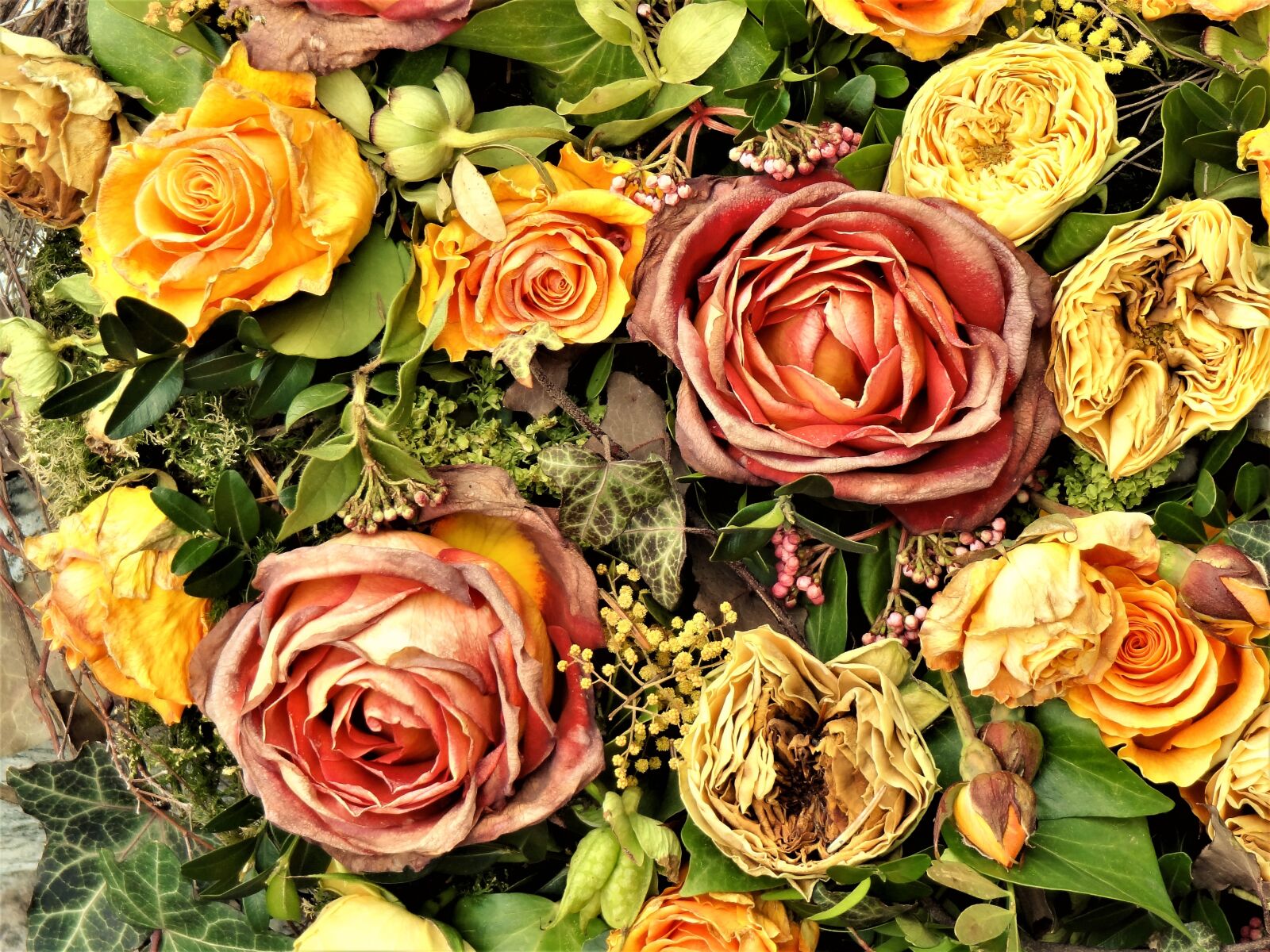 Sony Cyber-shot DSC-HX9V sample photo. Withered, bouquet of flowers photography