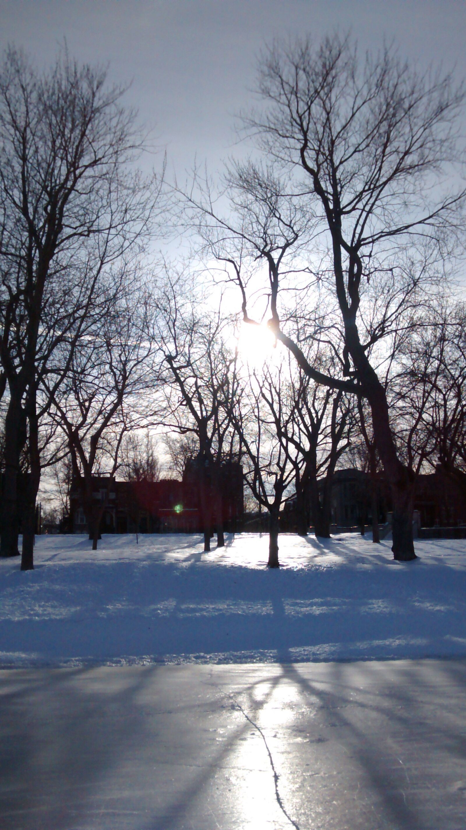 Motorola Moto G (1st Gen) sample photo. Park, sun, winter photography
