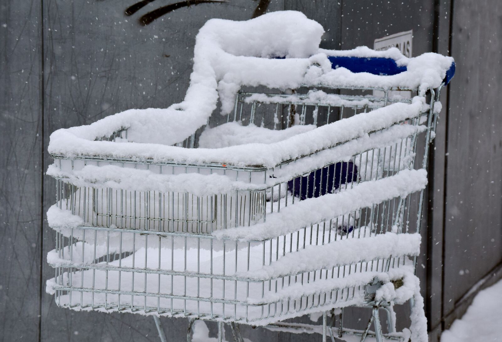 Nikon D3300 sample photo. Cold, winter, shopping cart photography