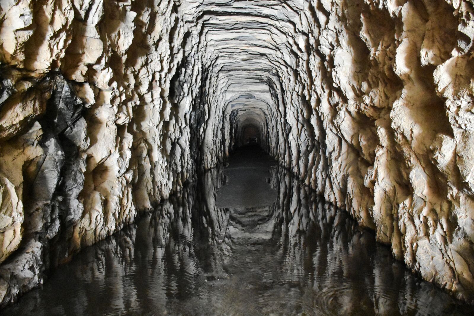 Nikon D7200 sample photo. Tunnel, landscape, nature photography