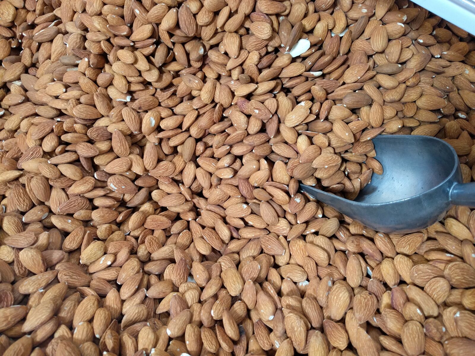 LG Nexus 5X sample photo. Almond, natural, h photography