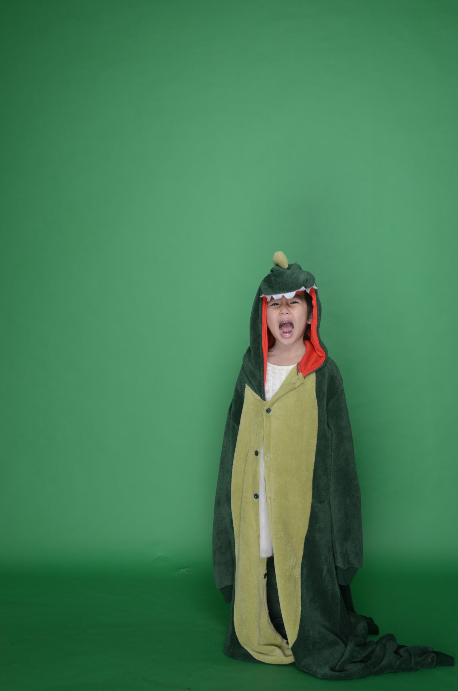 Nikon D5100 sample photo. Dinosaur, green, cute photography