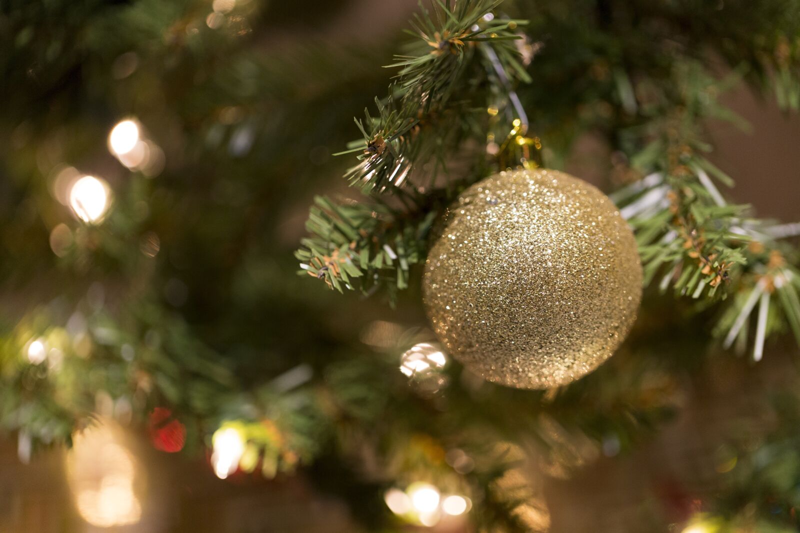 Canon EF 100mm F2.8L Macro IS USM sample photo. Christmas, decoration, glass ornament photography