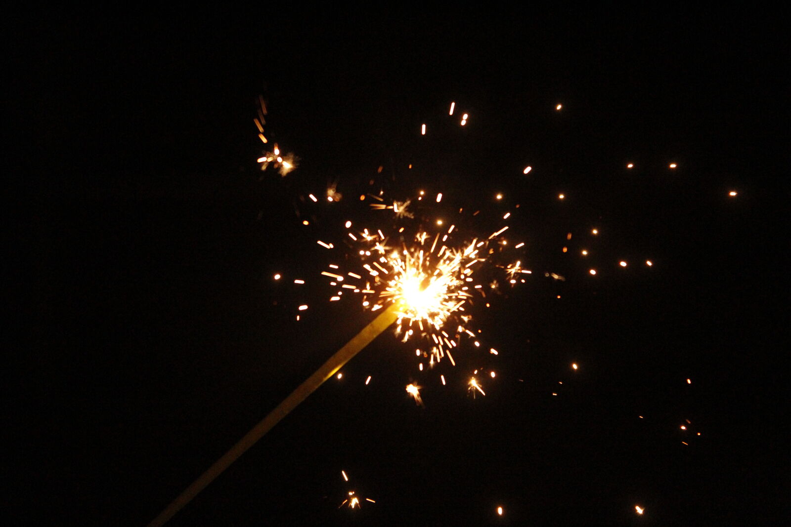 Canon EOS 1300D (EOS Rebel T6 / EOS Kiss X80) sample photo. Black, bright, celebrate, celebration photography