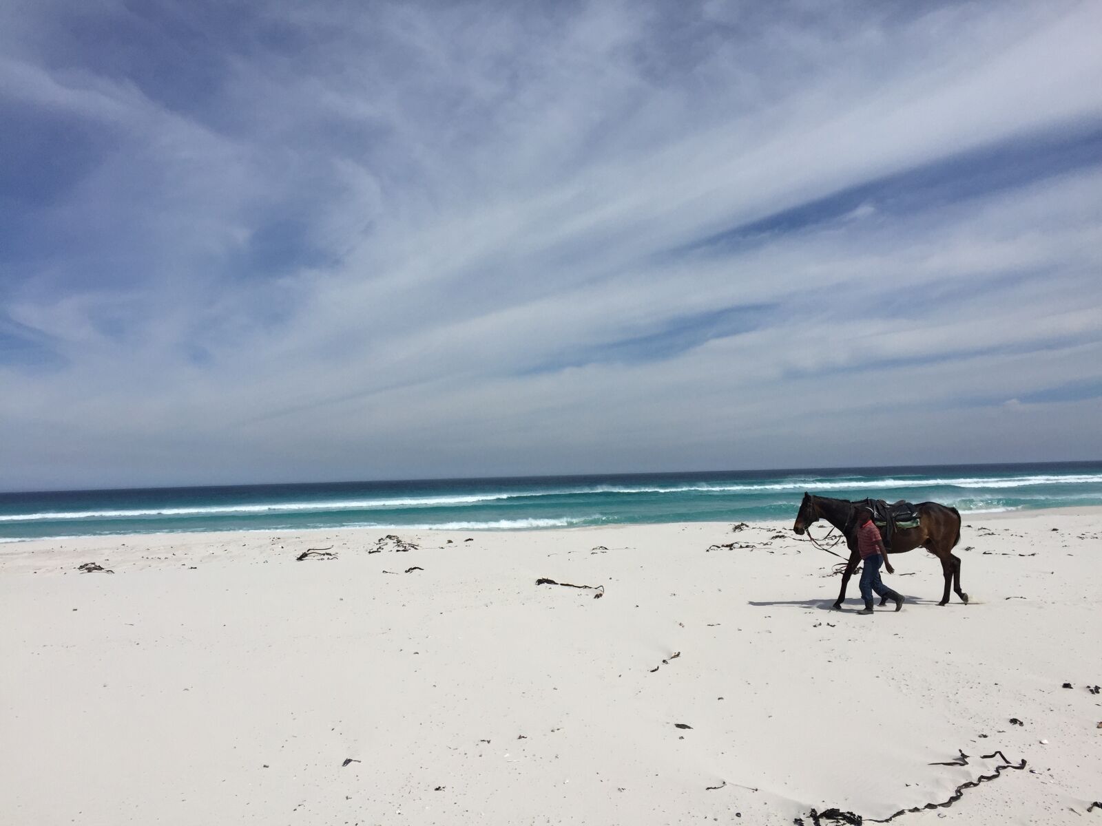 Apple iPhone 6 sample photo. Beach, cape, town, horse photography