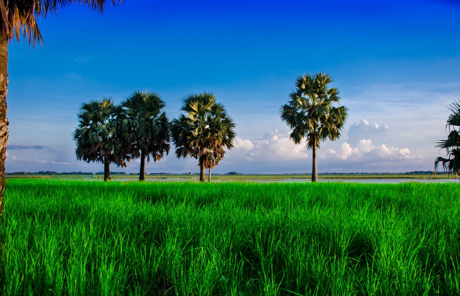 Nikon D7000 sample photo. Nature, landscape, blue photography