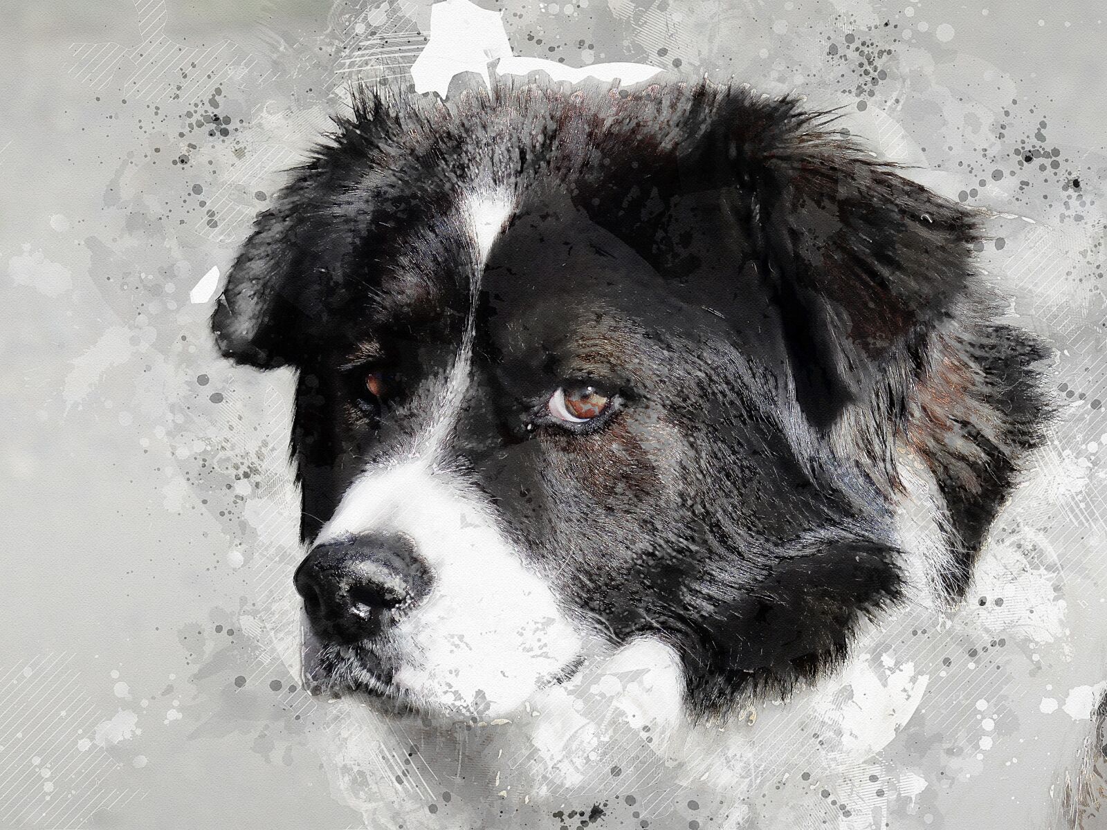 Panasonic Lumix DMC-FZ200 sample photo. Dog, face, portrait photography