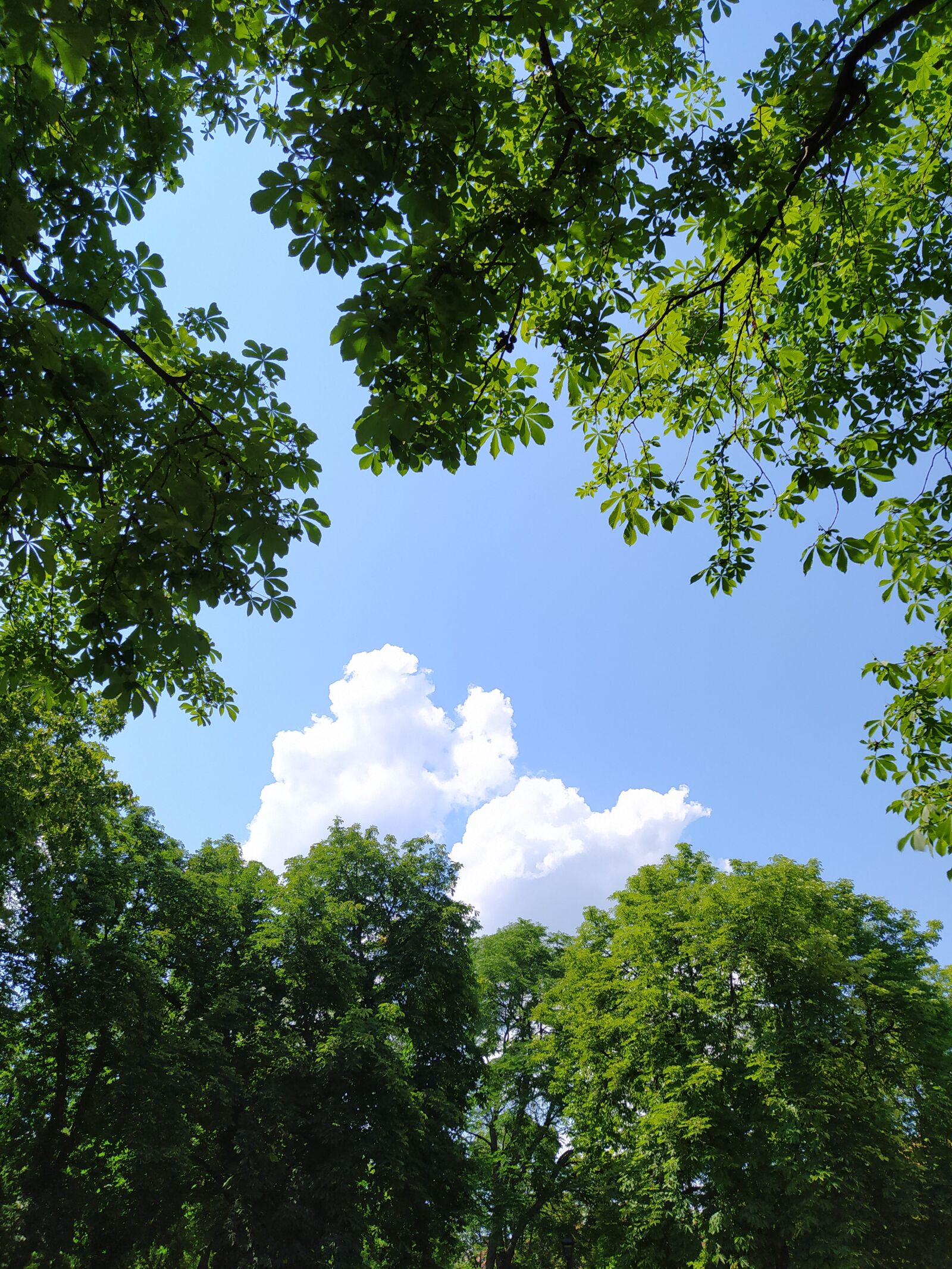 Xiaomi Redmi Note 8T sample photo. Nature, cloud, gomolyfelhő photography