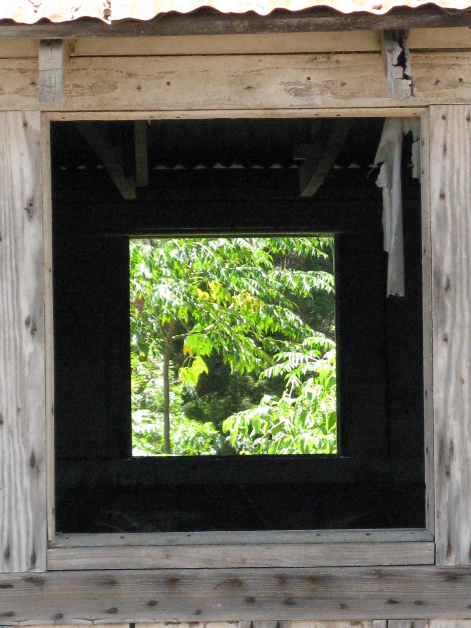 Canon POWERSHOT A720 IS sample photo. Window, frame, vintage photography