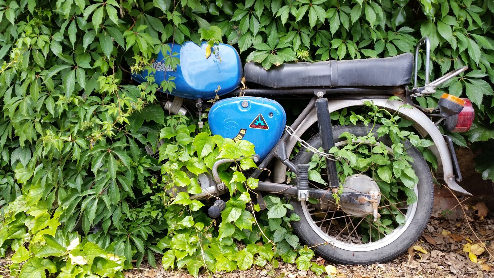 Samsung Galaxy S5 sample photo. Motorcycle, overgrown, entwined photography