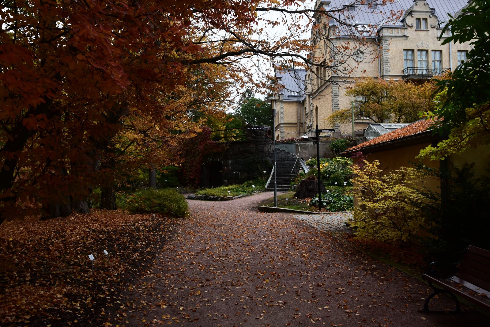 Nikon D5500 sample photo. Helsinki, botanical garden, evening photography