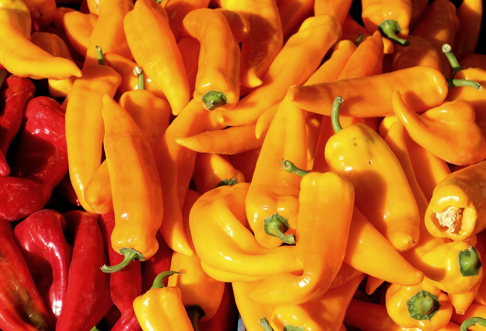 Canon EOS 700D (EOS Rebel T5i / EOS Kiss X7i) sample photo. Paprika, vegetables, yellow photography