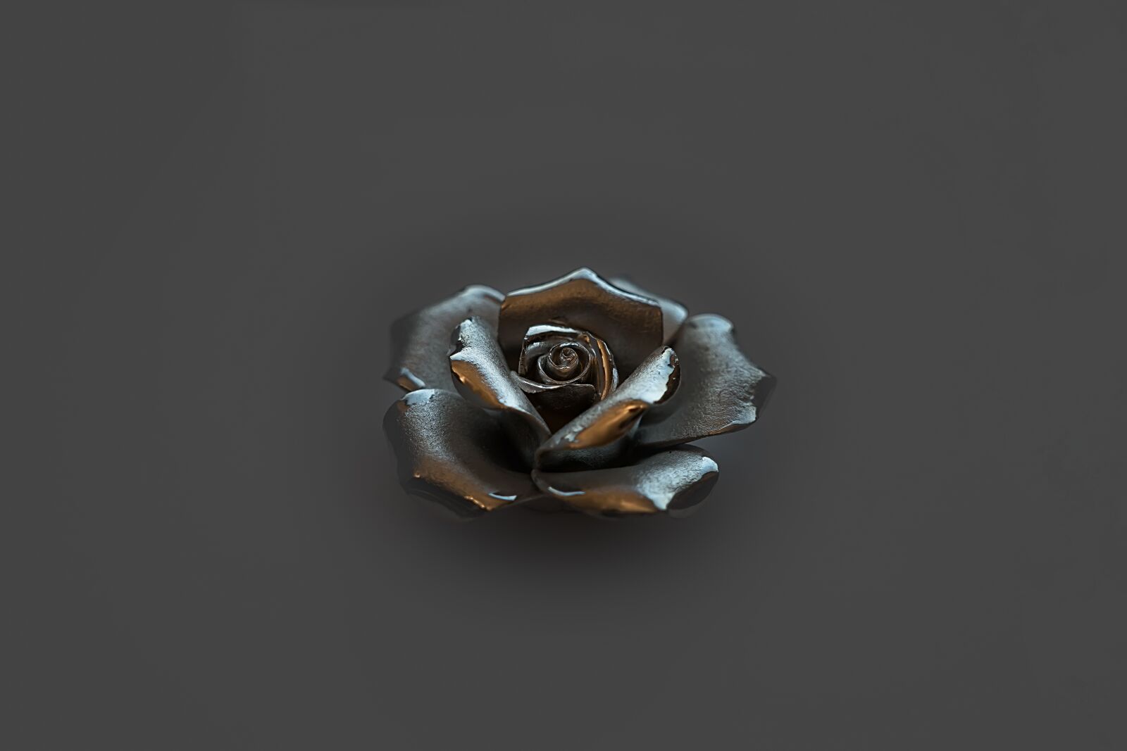 Sony a6300 + Sigma 30mm F2.8 EX DN sample photo. Rose, silver, romance photography