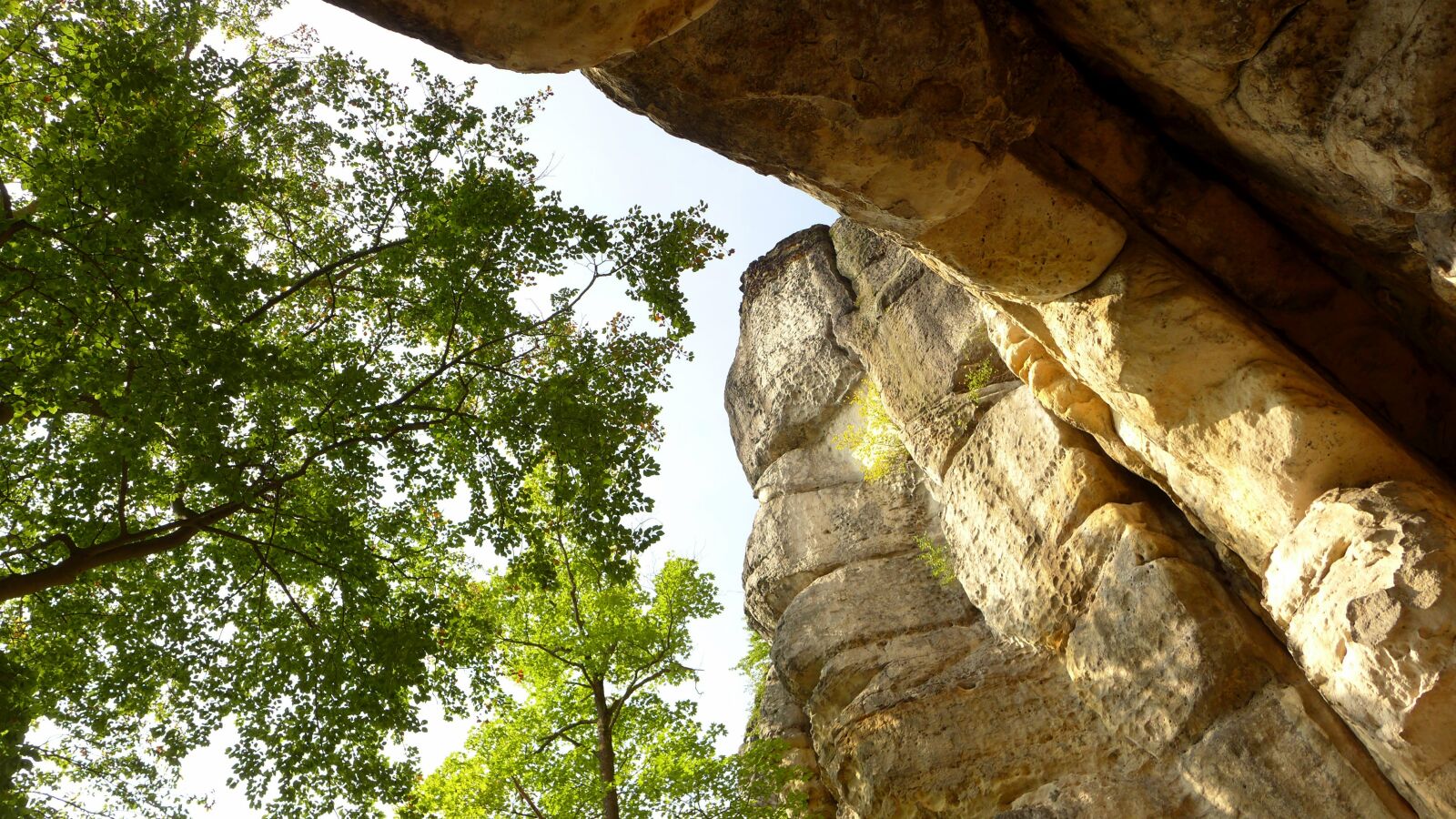 Panasonic Lumix DMC-LX7 sample photo. Cowshed, elbe sandstone mountains photography