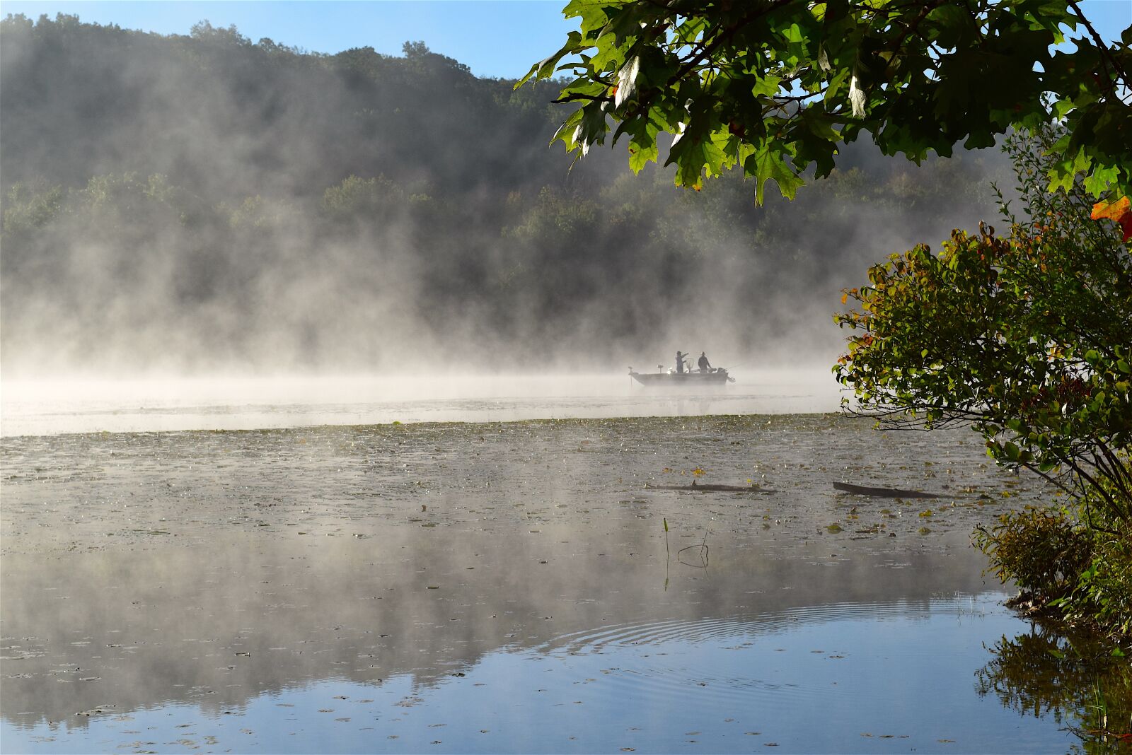 Nikon D3300 sample photo. Lake, mist, morning photography