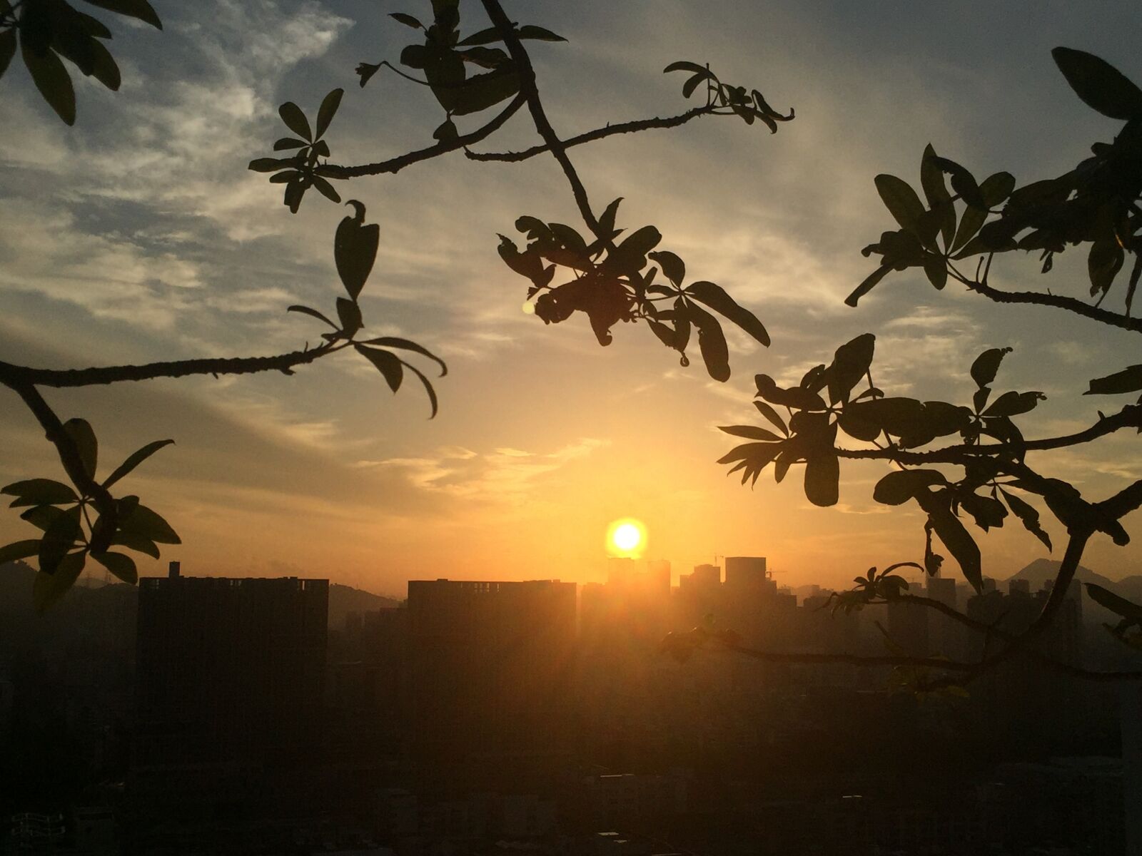 iPhone 6 back camera 4.15mm f/2.2 sample photo. Shenzhen, morning, sunrise photography