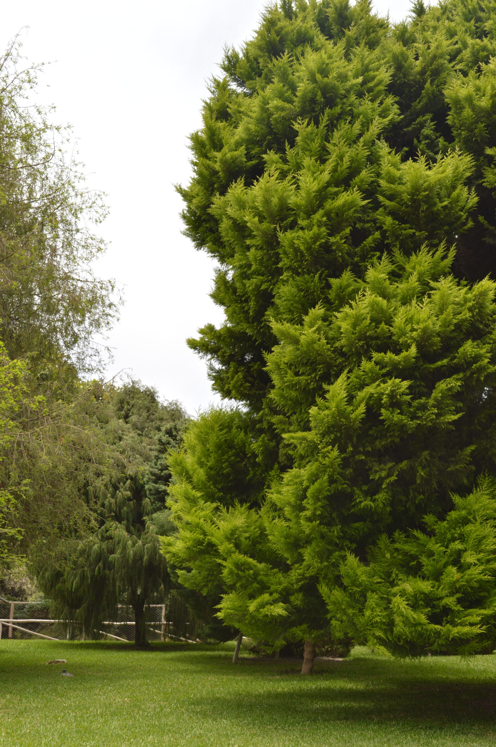 Nikon D3200 sample photo