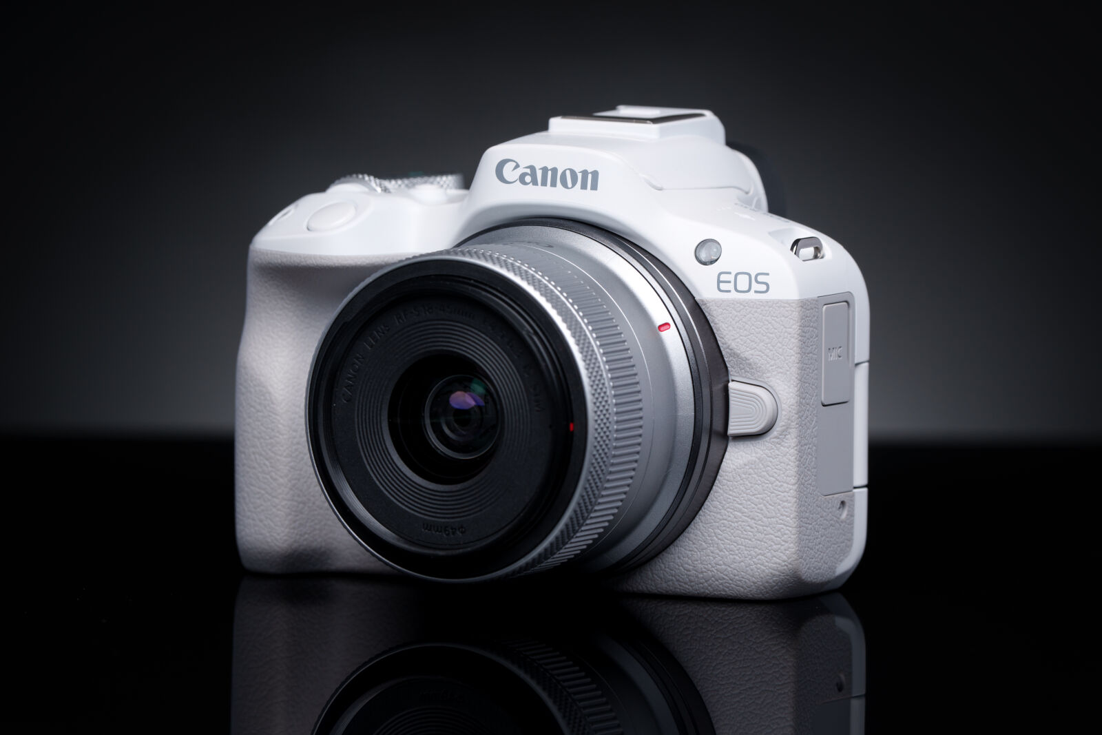 Sony FE 200-600mm F5.6-6.3 G OSS sample photo. Canon eos r50 photography