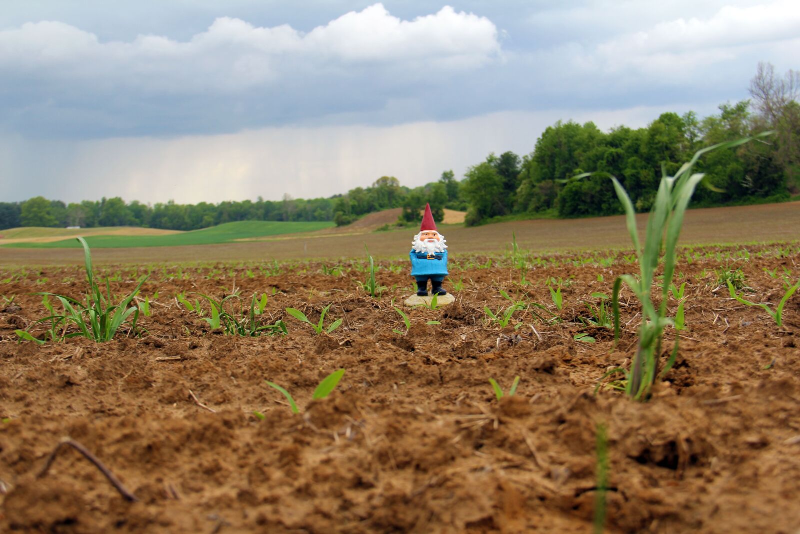 Canon EOS 60D sample photo. Gnome, field, landscape photography