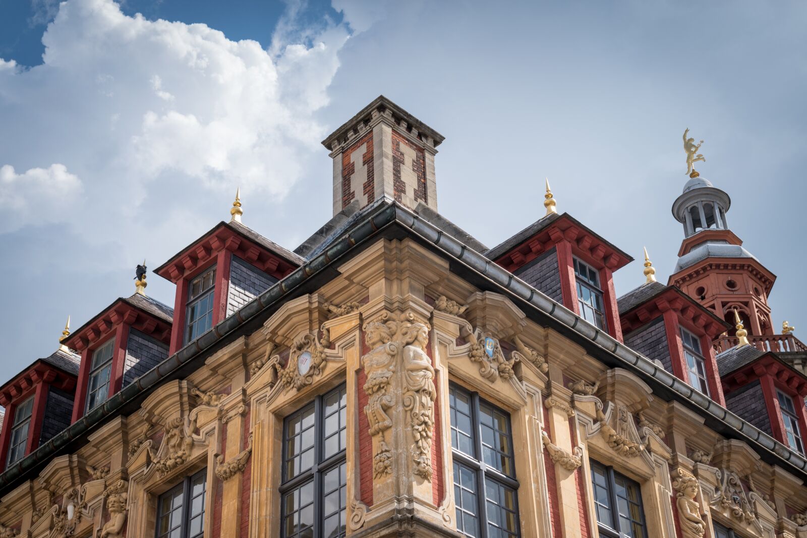 Nikon D5600 sample photo. Lille, architecture, north photography