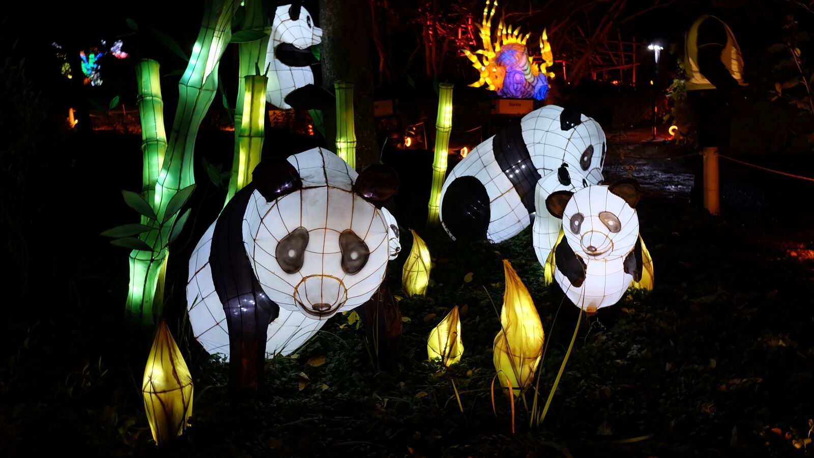 Fujifilm X-A2 sample photo. Lantern, festival, at, montreal photography