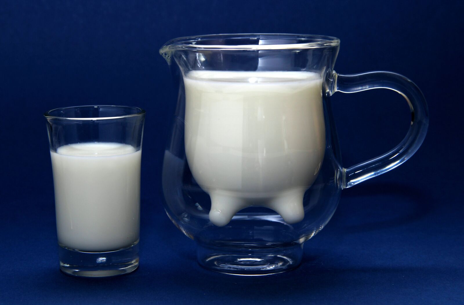 Canon EOS 600D (Rebel EOS T3i / EOS Kiss X5) sample photo. Milk, glass, delicious photography