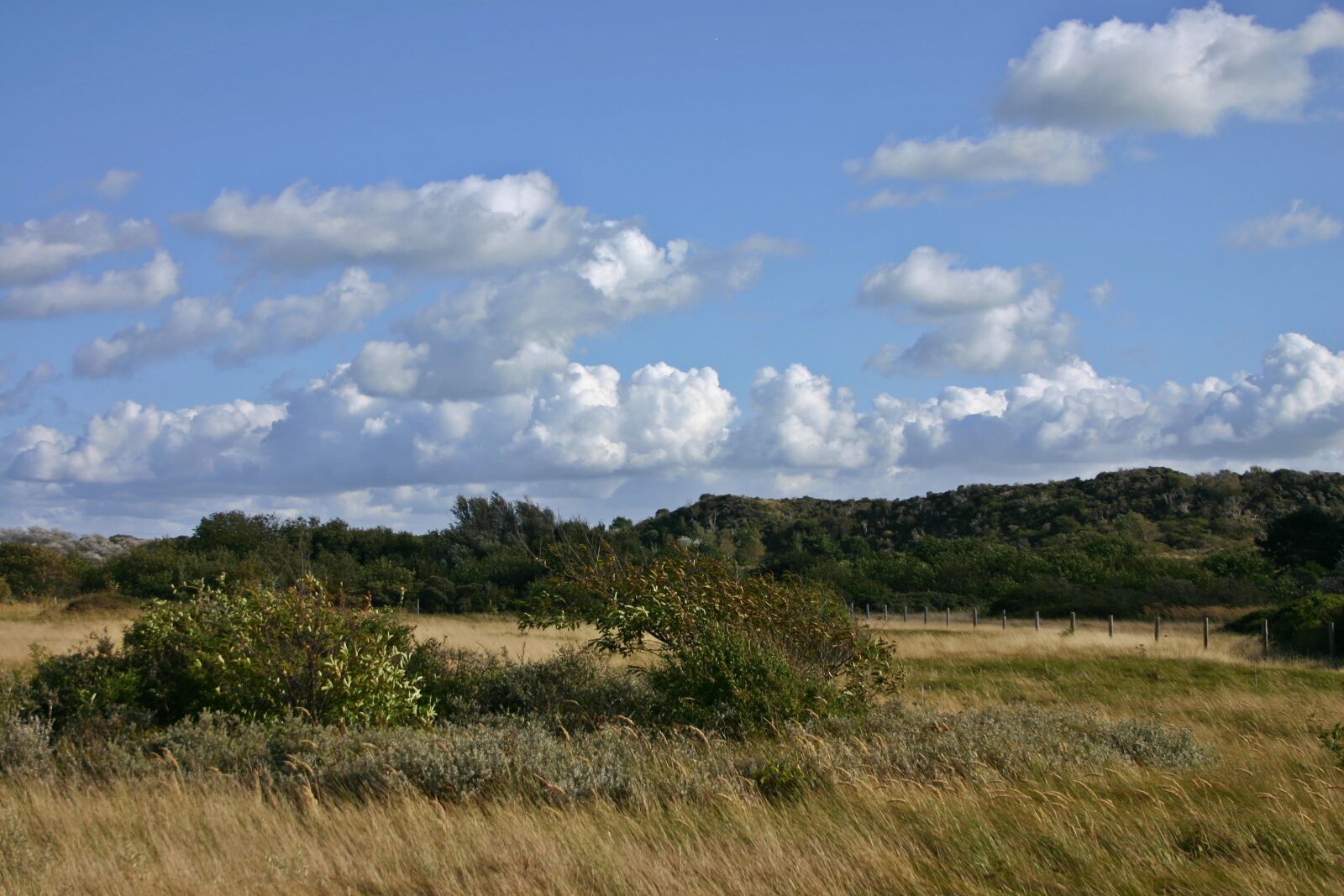 Canon EOS 300D (EOS Digital Rebel / EOS Kiss Digital) sample photo. Dunes, dune landscape, landscape photography