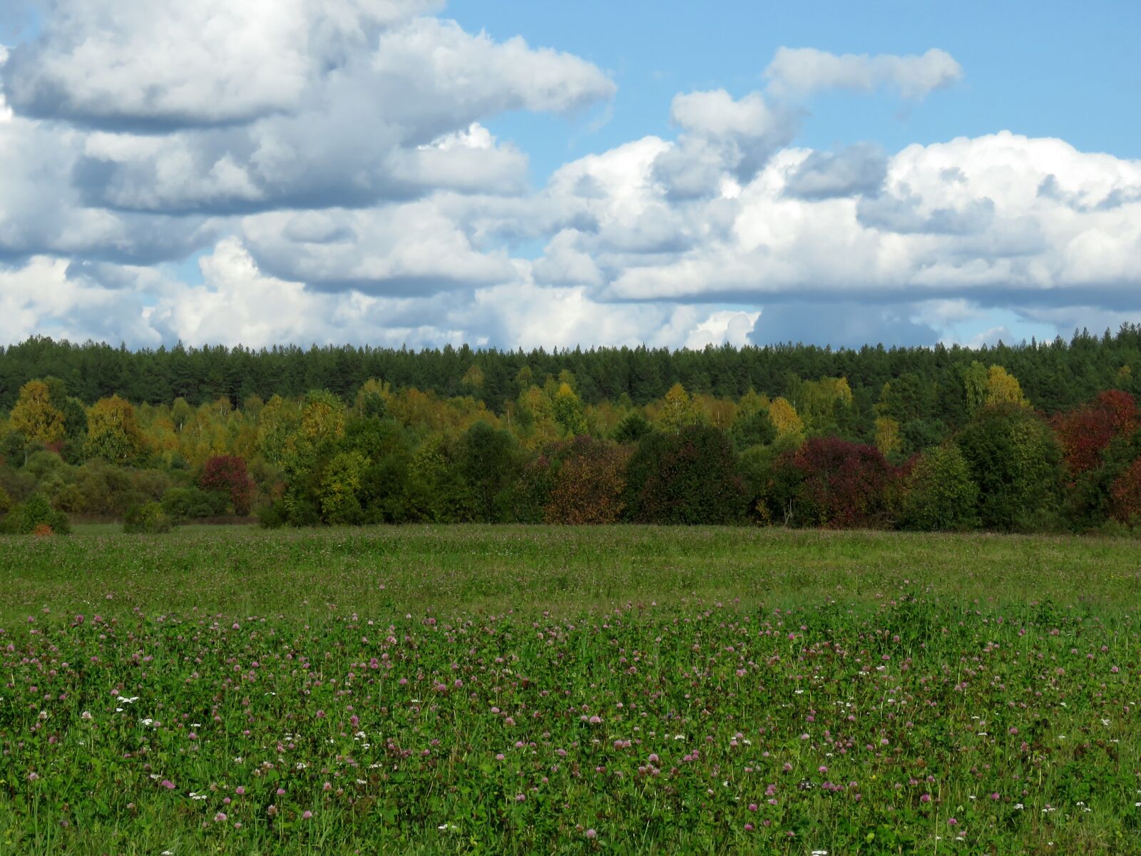 Canon PowerShot SX60 HS sample photo. Landscape, autumn, forests photography