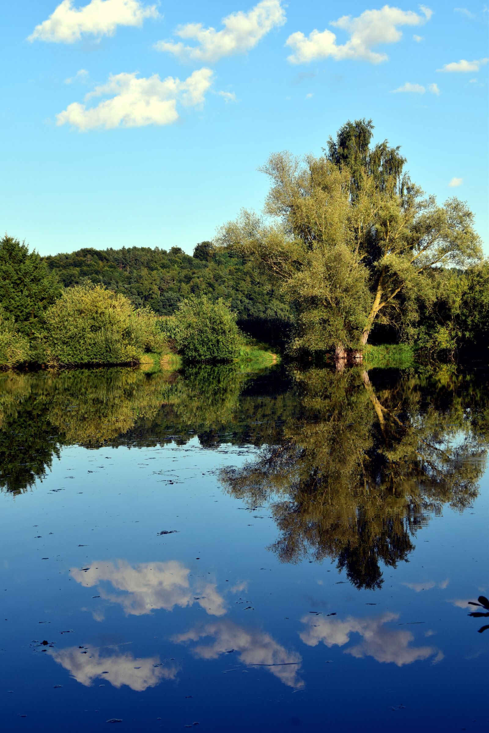 Nikon D3300 sample photo. Lake, trees, nature photography